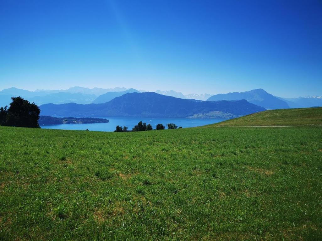 Marmottin Lucerne Exterior foto